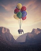 éléphant qui vole suspendu à des ballons-crédit créativeralph - Agrandir l'image (fenêtre modale)